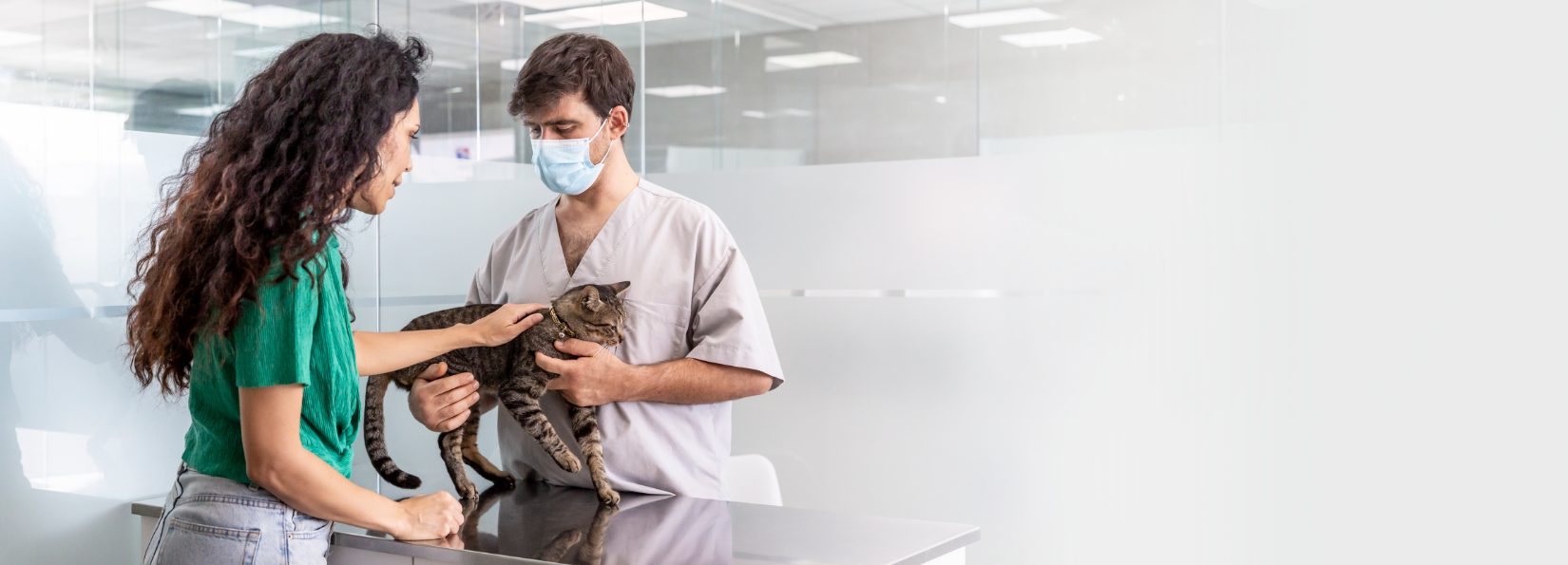 cat and pet owner with vet