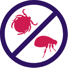 fleas and ticks killing icon