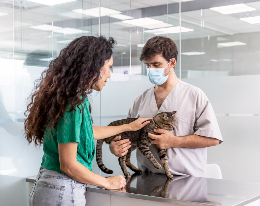 cat and pet owner with vet